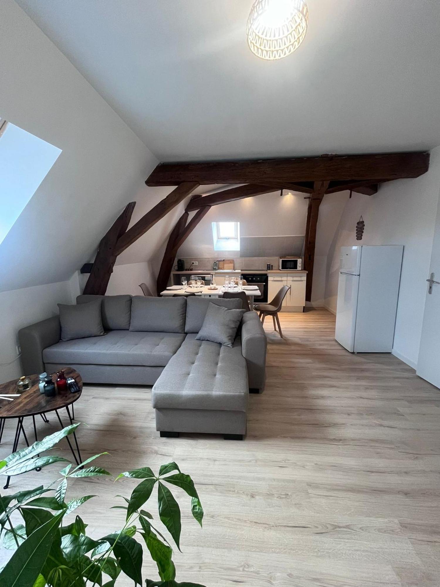 L'Evasion Urbaine - Parking Gratuit - Entree Autonome - Wifi Apartamento Châtellerault Exterior foto